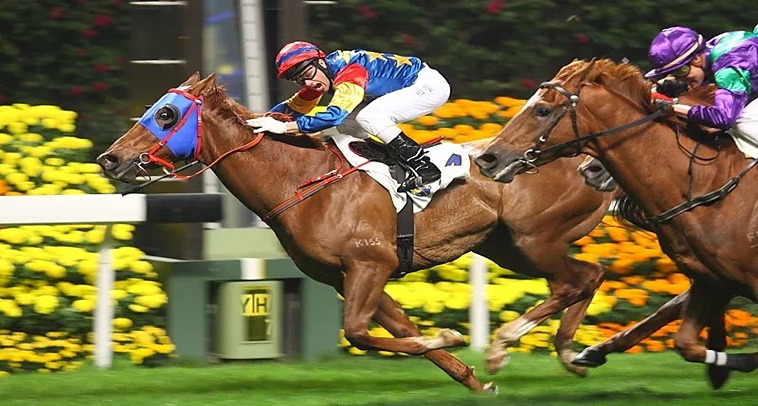 Khám Phá Thế Giới Đua Ngựa 88Goals: Cơ Hội Đổi Đời Cho Dân Cá Cược 4 Khám Phá Thế Giới Đua Ngựa 88Goals: Cơ Hội Đổi Đời Cho Dân Cá Cược